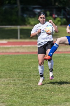 Bild 238 - wBJ VfL Pinneberg - Harksheide : Ergebnis: 2:1